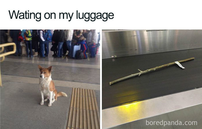 Funny-Travel-Airport-Memes