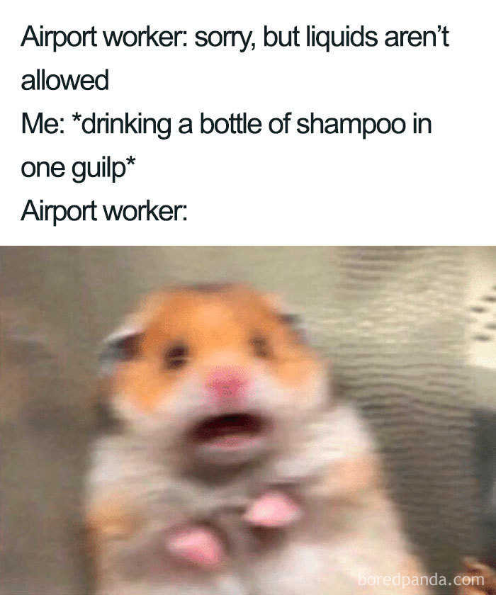Funny-Travel-Airport-Memes