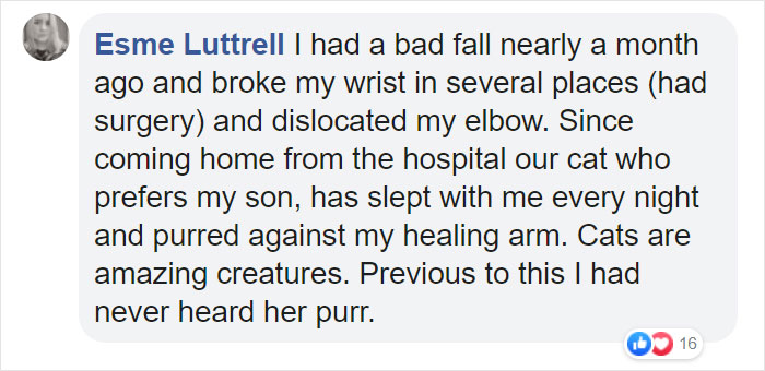 Fascinating Infographic Shows The Ways That A Cat's Purr Are Good For You