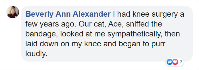 Fascinating Infographic Shows The Ways That A Cat's Purr Are Good For You