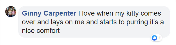 Fascinating Infographic Shows The Ways That A Cat's Purr Are Good For You