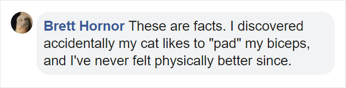 Fascinating Infographic Shows The Ways That A Cat's Purr Are Good For You