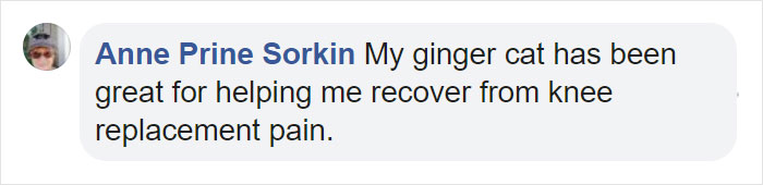 Fascinating Infographic Shows The Ways That A Cat's Purr Are Good For You