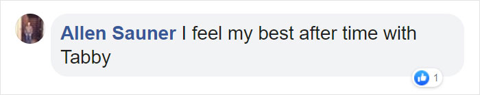 Fascinating Infographic Shows The Ways That A Cat's Purr Are Good For You