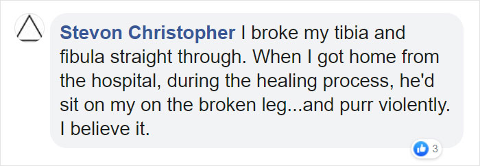 Fascinating Infographic Shows The Ways That A Cat's Purr Are Good For You