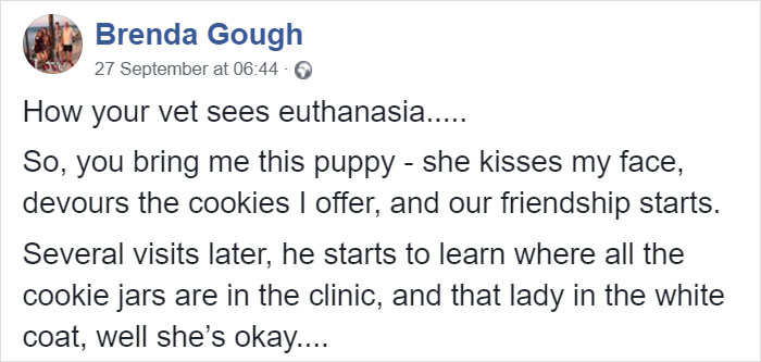 Heartbreaking Post On Euthanasia From A Vet That Has To Perform It Goes Viral