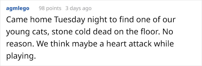 Heartbreaking Post On Euthanasia From A Vet That Has To Perform It Goes Viral Heartbreaking Post On Euthanasia From A Vet That Has To Perform It Goes Viral