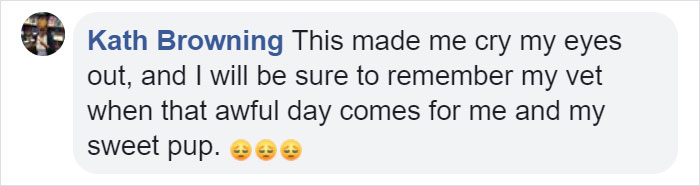 Heartbreaking Post On Euthanasia From A Vet That Has To Perform It Goes Viral