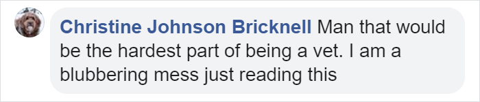 Heartbreaking Post On Euthanasia From A Vet That Has To Perform It Goes Viral