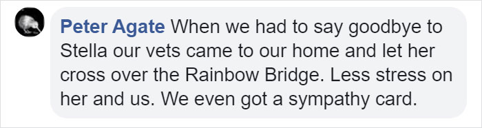 Heartbreaking Post On Euthanasia From A Vet That Has To Perform It Goes Viral