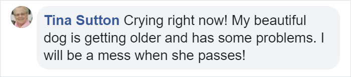 Heartbreaking Post On Euthanasia From A Vet That Has To Perform It Goes Viral Heartbreaking Post On Euthanasia From A Vet That Has To Perform It Goes Viral