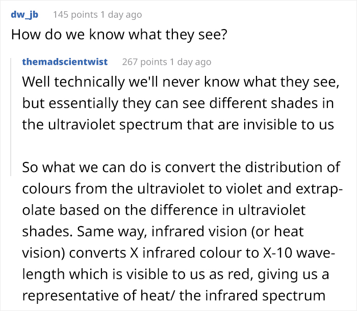 How Do Birds See? Human And Bird Vision Comparison