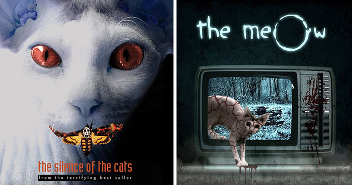 My 66 Movie Poster Parodies Starring Sphynx Cats