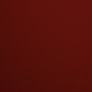 guineapigolympics avatar