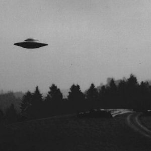 alexalising513 avatar