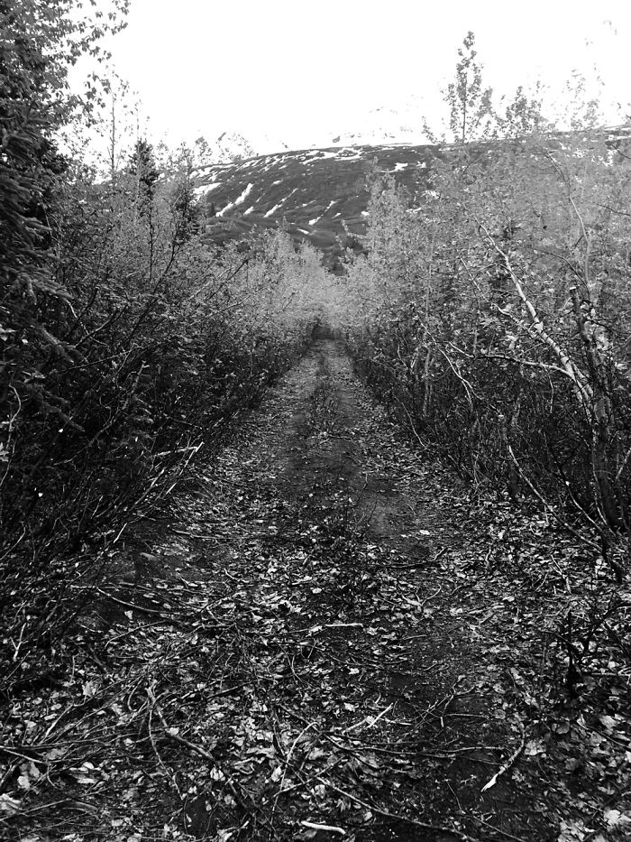 Alaska Is An Amazing Place