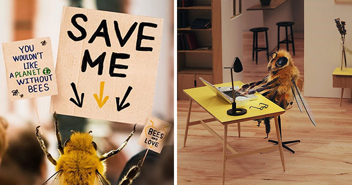 The World’s First Bee Influencer Is Trying To Raise Funds To Save Her Species