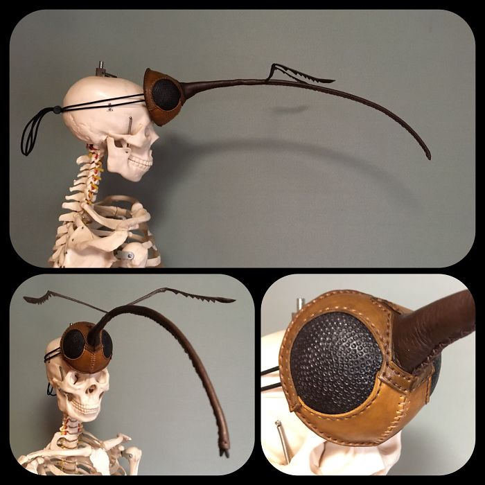 Insects-Bugs-Inspired-Bags-Accessories-Amaheso