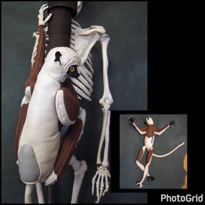 Insects-Bugs-Inspired-Bags-Accessories-Amaheso