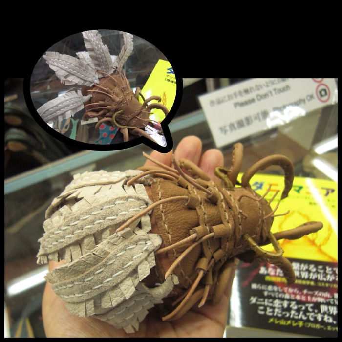 Insects-Bugs-Inspired-Bags-Accessories-Amaheso