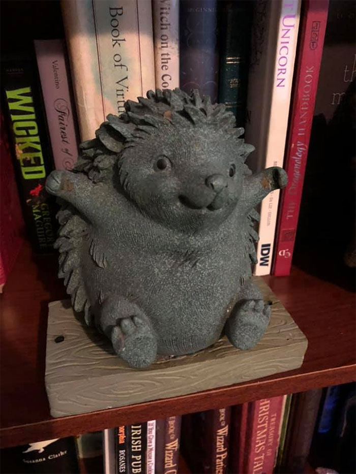 Found This Happy Little Guy And Had To Bring Him Home