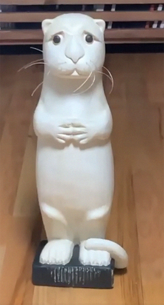 This Is Thaddeus. I Found Him At Goodwill. And I Can’t Stop Slowly Zooming In On Him And Playing Sad Music