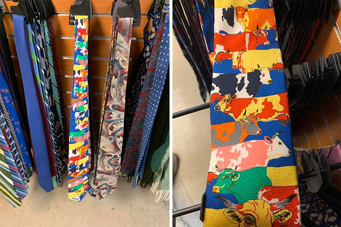 I Need A Situation Where I Can Wear A Cow Tie