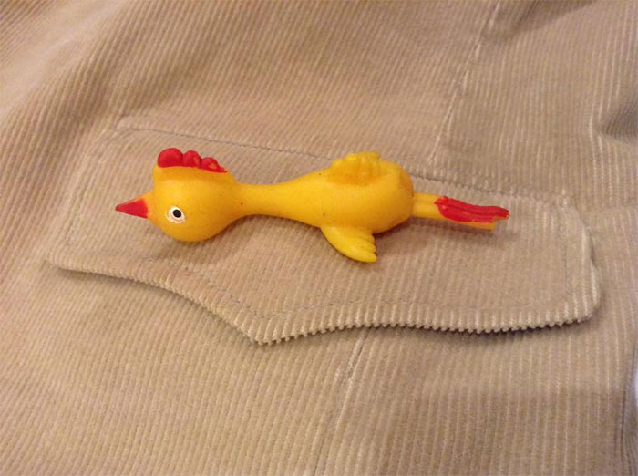 I Bought A Blazer At The Thrift Store Yesterday