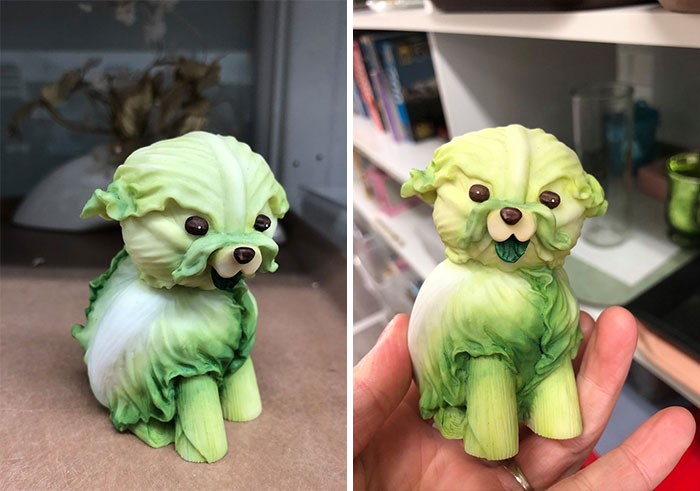 Cabbage Dog??? Left It There Though Even If It Was Just 50 Cents... Cause You Know, Kids... And Cats! I’m Not Sure It Would Survive In My Home!