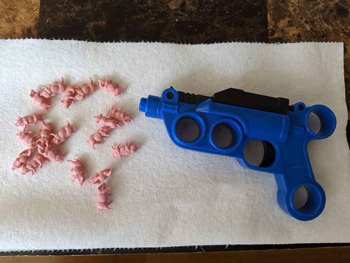 Anyone Ever Seen A Toy Gun That Shoots Pigs? Well... I Now Have One And I'm Looking For A Target... The Cat... The Dog... My Husband??!!