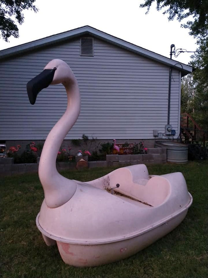 I've Had Frank Now For 1.5 Years, But He's Worth Sharing Here