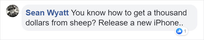 Photographer Tests How His $13,000 Camera Compares To The New iPhone 11 Pro, Posts The Results Photographer Tests How His $13,000 Camera Compares To The New iPhone 11 Pro, Posts The Results