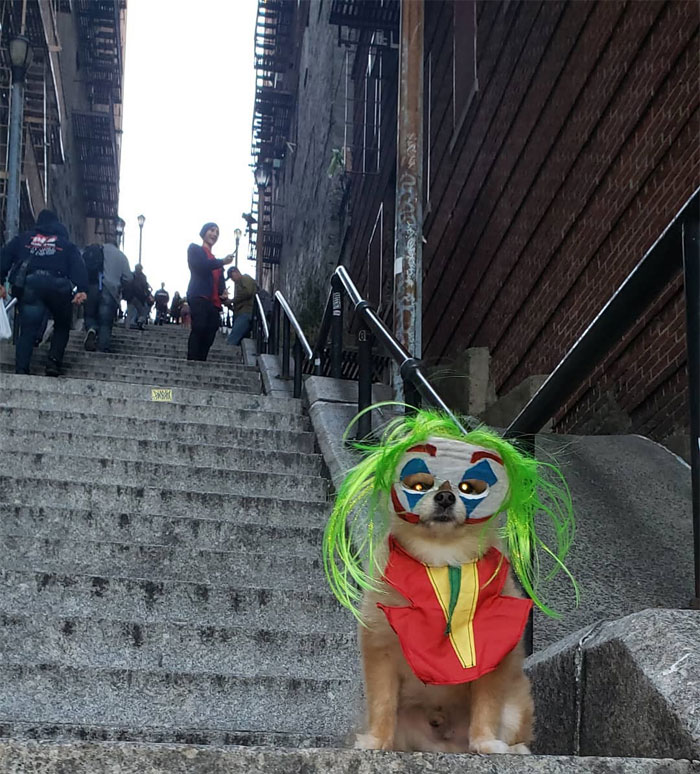 'The Joker' Stairs In New York Become A Tourist Attraction And Here Are 14 Pics Taken By Fans 'The Joker' Stairs In New York Become A Tourist Attraction And Here Are 14 Pics Taken By Fans