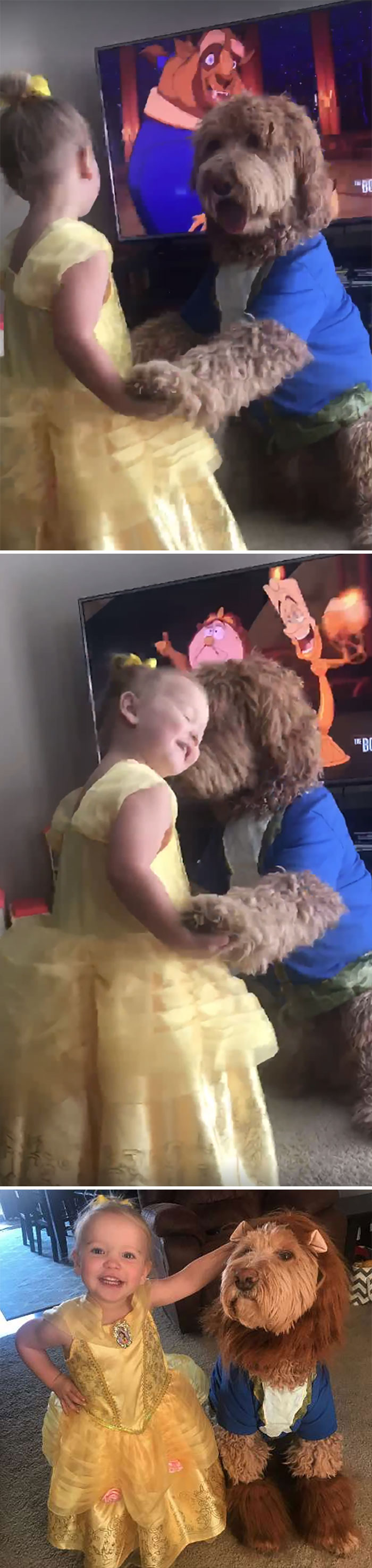 We’ve Watched Beauty And The Beast Too Many Times To Count. She Is Lucky She Has The Cutest Beast That Puts Up With Her Shenanigans