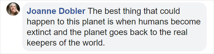 Orphaned 150-Day-Old Baby Koala Gets Tiny Arm Cast After Falling From A Tree Orphaned 150-Day-Old Baby Koala Gets Tiny Arm Cast After Falling From A Tree