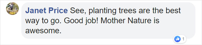 600 YouTubers Pledge To Plant 20 Million Trees Together To Fight Climate Change