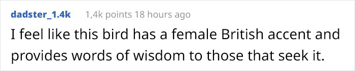 Meet The Harpy Eagle - One Of The Largest Birds In The World