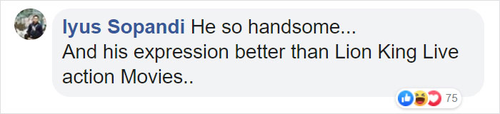 Lion Lets Out A Huge Roar Giving This Photographer A 'Shock Of His Life', Then Winks And Smiles At Him