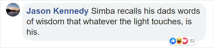 Lion Lets Out A Huge Roar Giving This Photographer A 'Shock Of His Life', Then Winks And Smiles At Him