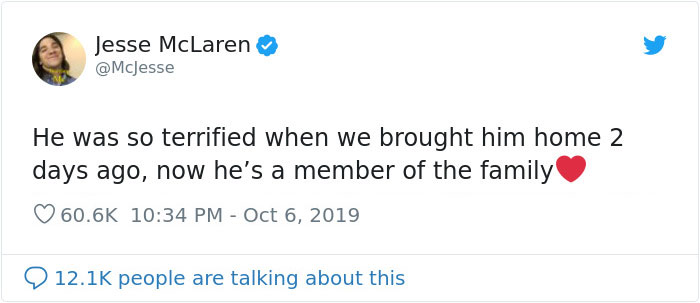 'He Was So Terrified When We Brought Him Home 2 Days Ago:' Man 'Rescues' An Abandoned Skeleton Decoration