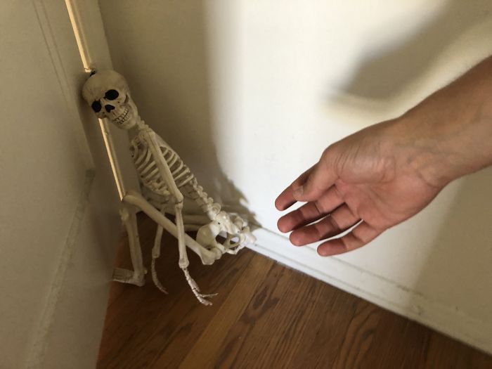'He Was So Terrified When We Brought Him Home 2 Days Ago:' Man 'Rescues' An Abandoned Skeleton Decoration