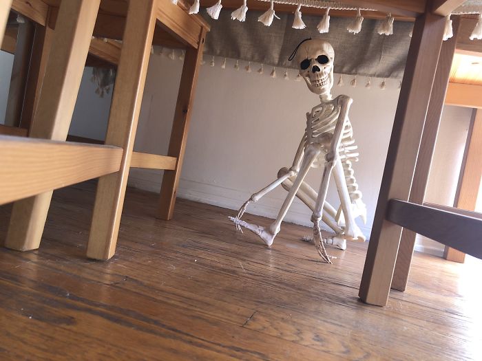 'He Was So Terrified When We Brought Him Home 2 Days Ago:' Man 'Rescues' An Abandoned Skeleton Decoration