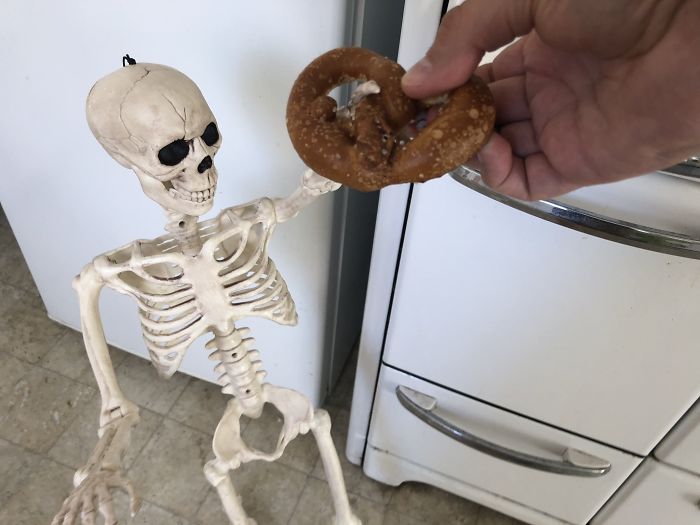 'He Was So Terrified When We Brought Him Home 2 Days Ago:' Man 'Rescues' An Abandoned Skeleton Decoration 'He Was So Terrified When We Brought Him Home 2 Days Ago:' Man 'Rescues' An Abandoned Skeleton Decoration