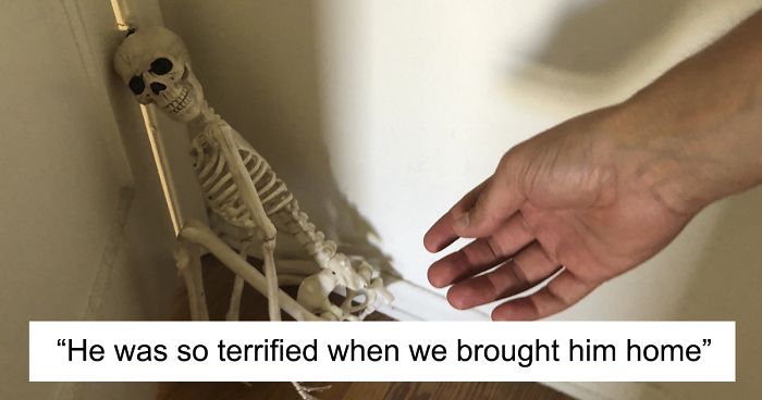 ‘He Was So Terrified When We Brought Him Home 2 Days Ago:’ Man ‘Rescues’ An Abandoned Skeleton Decoration
