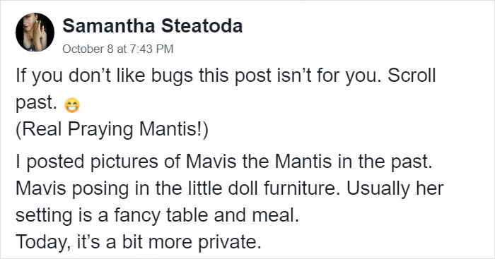 This Sophisticated Pet Mantis Has An Instagram Account And Her Followers Love Watching Her Testing Out Miniature Furniture This Sophisticated Pet Mantis Has An Instagram Account And Her Followers Love Watching Her Testing Out Miniature Furniture