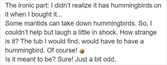 This Sophisticated Pet Mantis Has An Instagram Account And Her Followers Love Watching Her Testing Out Miniature Furniture This Sophisticated Pet Mantis Has An Instagram Account And Her Followers Love Watching Her Testing Out Miniature Furniture