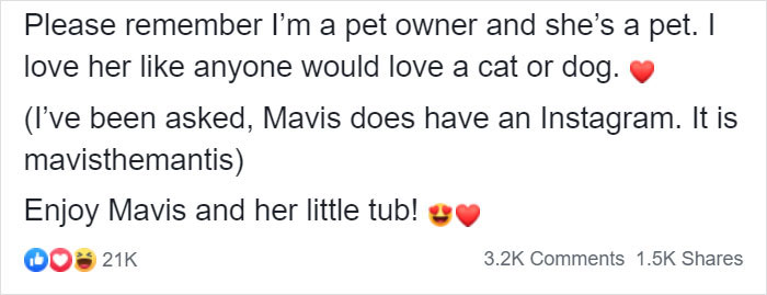 This Sophisticated Pet Mantis Has An Instagram Account And Her Followers Love Watching Her Testing Out Miniature Furniture This Sophisticated Pet Mantis Has An Instagram Account And Her Followers Love Watching Her Testing Out Miniature Furniture