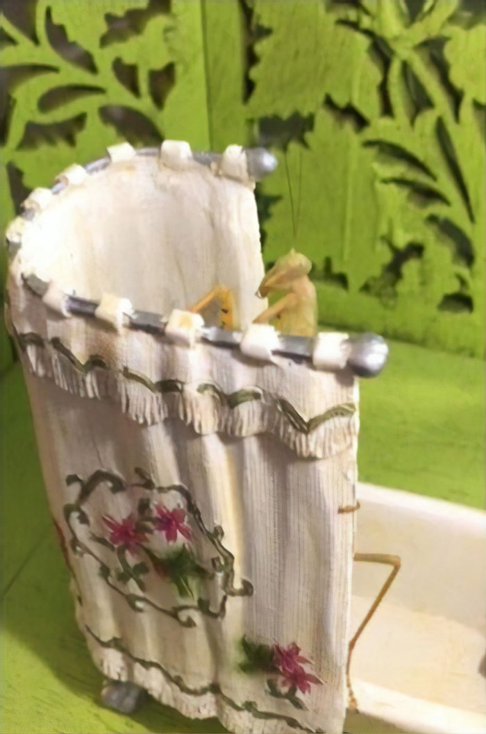 This Sophisticated Pet Mantis Has An Instagram Account And Her Followers Love Watching Her Testing Out Miniature Furniture This Sophisticated Pet Mantis Has An Instagram Account And Her Followers Love Watching Her Testing Out Miniature Furniture