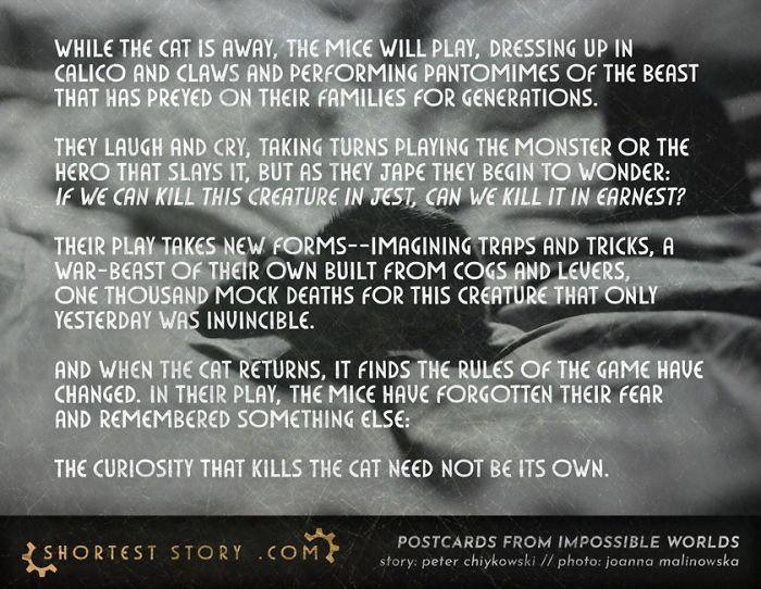 Micro-Short-Stories-Peter-Chiykowski