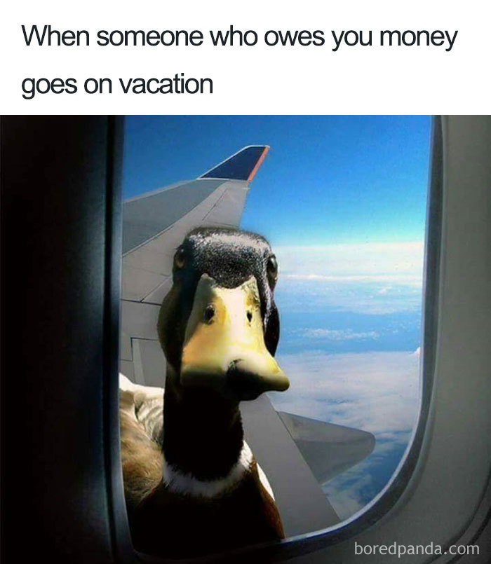 Funny-Travel-Airport-Memes